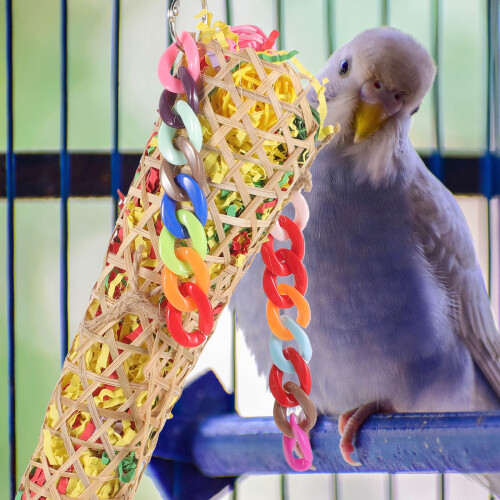 Parrot Shredding Toy For Cage Chewing And Biting Use 1