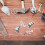 30 solarkabelklemmen für panel kabel 3