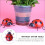 4er-set ladybird wanddekoration, 10