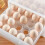 Double Layer Egg Tray Transparent Refrigerator Crisper Organizer 9