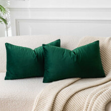 JUSPURBET Lot de 2 housses de coussin dcoratives en velours pour canap, lit, housses de coussin lombaires douces avec fermeture clair dissimul