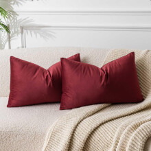 JUSPURBET Lot de 2 housses de coussin dcoratives en velours pour canap, lit, housses de coussin lombaire douces avec fermeture clair dissimul