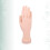 nagelkunst übungs hand für maniküre training realismus 10
