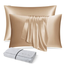 DISANGNI 100% Natural Mulberry Silk Pillow case for Hair and Skin with Hidden Zipper 22 Momme Both Sides Real Silk Pillow Case (2pc Standard Size 20""
