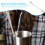 5 langhefter scoop für cocktail tee 10