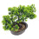 2Stk Realistische Bonsai Künstliche 1