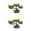 2Stk Realistische Bonsai Künstliche 7