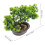 2Stk Realistische Bonsai Künstliche 10