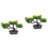 2Stk Realistische Bonsai Künstliche 6