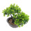 2Stk Realistische Bonsai Künstliche 2