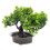 2Stk Realistische Bonsai Künstliche 3