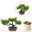 2Stk Realistische Bonsai Künstliche 11