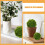 -set künstliche mooskugeln grün für , decke, garten 9