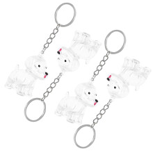 4St Transparante ABS Huisdier Haar Herdenkingsdoos Sleutelhanger DIY