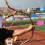 2 esponja accesorios arquería entrenamiento 5