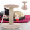 para con sisal rascador para y interior 7
