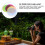 8 . color, película corrección (color aleatorio) 11