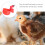 2Pcs Chicken Water Bowl ABS Automatic Waterer Red Durable Design 8
