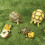 2 alfombra mascotas reptiles césped artificial 5