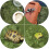 2 alfombra mascotas reptiles césped artificial 8