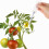 Outil de pollinisation pour , fruits - jardin 6