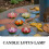 5 fleurs LED 11,5 cm colorées pour 8