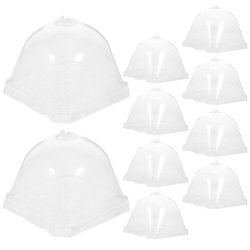 de protection transparent 10 pièces pour de plantes