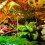 3 Sets Diy Springbrunnen Set Mit Unsichtbarem Schwimmenden 6