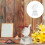 Decoratieve kristallen transparant prijsaccessoire 6