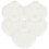 5- . Servierplatte -Snack-Tablett, wiederverwendbar, Muschelform 1