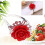 10 Rote Für Hochzeitsdinner 8