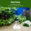 1 beutel co2-tabletten für wasserpflanzen, aquarium 11