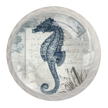 NEWzone 4 csomagos szekrnygombok Vintage Seahorse fehr gombok szekrny hardver hzk fogantyk szekrnyekhez s fikokhoz konyhai gardrb szekrny