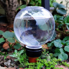 Plant Watering Bulbs Globess 2 Pcs 500 Ml Large Self Watering Balls Aqua Ball Drip Feeders for Planters Indoor Outdoor