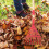 gartenharken blatt abnehmbar kinder 11