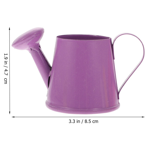 4 Kinder Gartengießkanne Metall 2