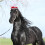 set kerstpaardkostuum met sinterklaashoed en beenwikkels 7