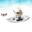 Jackblatt Buchsen Gitarrenbuchse Silver 6