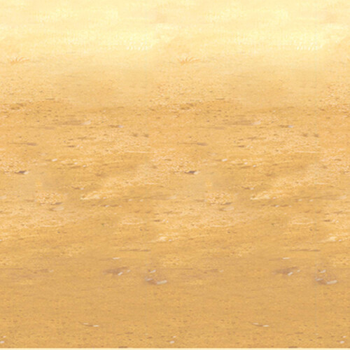 Beistle Desert Sand Backdrop Party Accessory (1 Count) (1/Pkg) 1