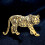 broche de con de para , joya decorativa 11