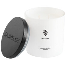 Archipelago Botanicals Big Sur Luxe Candle California Cedar Amber and Musk Scent Elegant White Glass Jar Candle Coconut Wax Double Wicks Burn 10