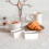 2 Unidades De Boles Plano Para , Ideal Café 11