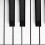 6 teclas piano plástico negras para reparación 6