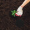 20 . estera mulching no tejida transpirable antimalezas reutilizable 7