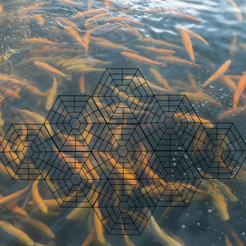 10 . protectores hexagonales para pecera, plástica 2