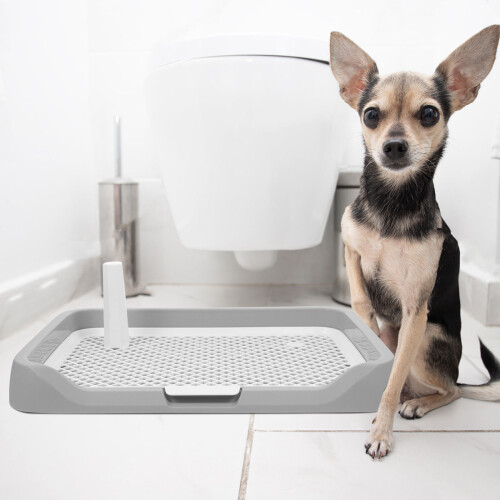 orinal para perros, multifuncional de y entrenamiento 2