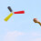 Trainer Multi 1pack 10.4x9.6x1.5in 7