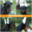 1 Set Soft Foam Dog Ear Support Rods Ear Correction Tools 7