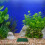 1 kunstmatig aquariumgras van pp, plantenvilt visbak 8