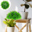 5pcs Artificial Topiary Ball Eucalyptus Leaf Plastic Plant 7